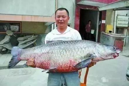 青魚視頻國產(chǎn)在線,國產(chǎn)在線影視盛宴，盡享視聽盛宴