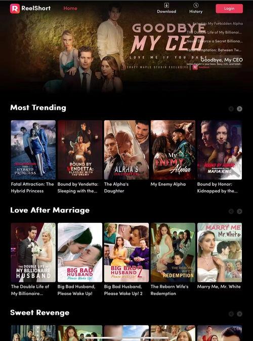 國產(chǎn)在線中文,引領(lǐng)潮流的文化盛宴